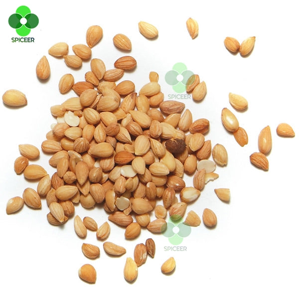 Whole Mahaleb Prunus cherry Mahleb seeds محلب