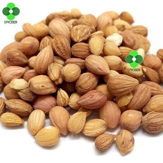 Whole Mahaleb Prunus cherry Mahleb seeds محلب